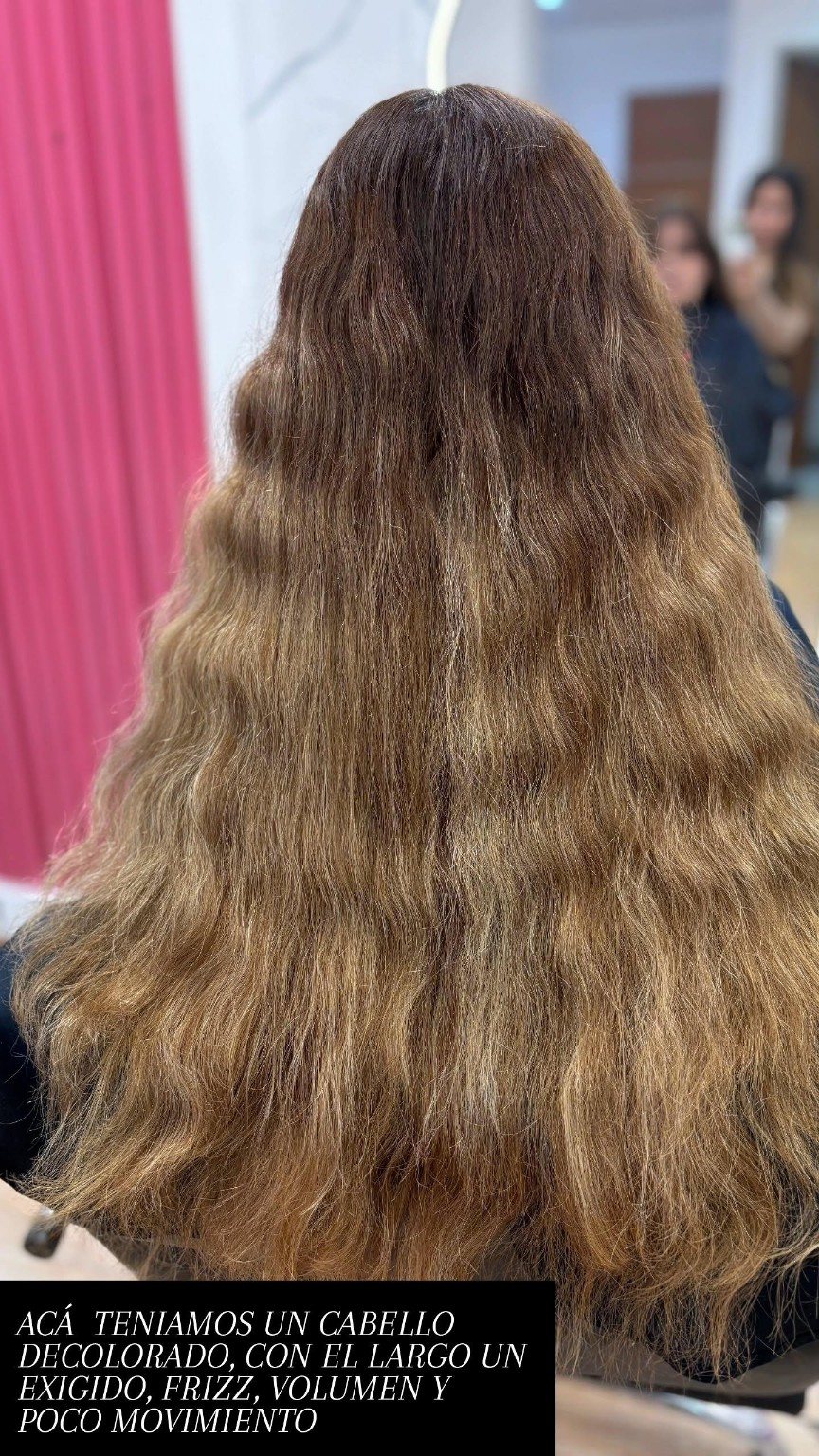 Cabello decolorado con frizz antes del tratamiento